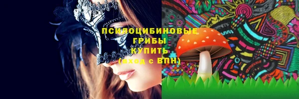 гидропоника Аркадак