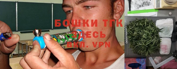 крисы Покачи