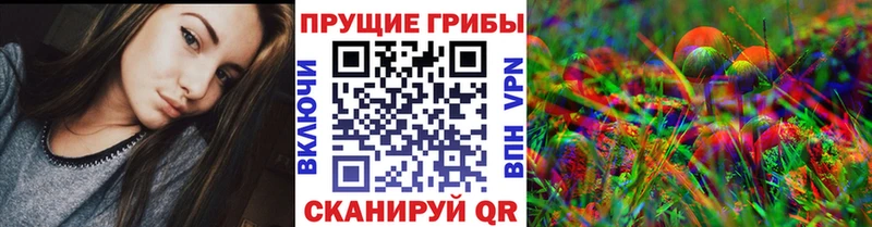 OMG ТОР  нарко площадка формула  Псилоцибиновые грибы ЛСД  Опочка 